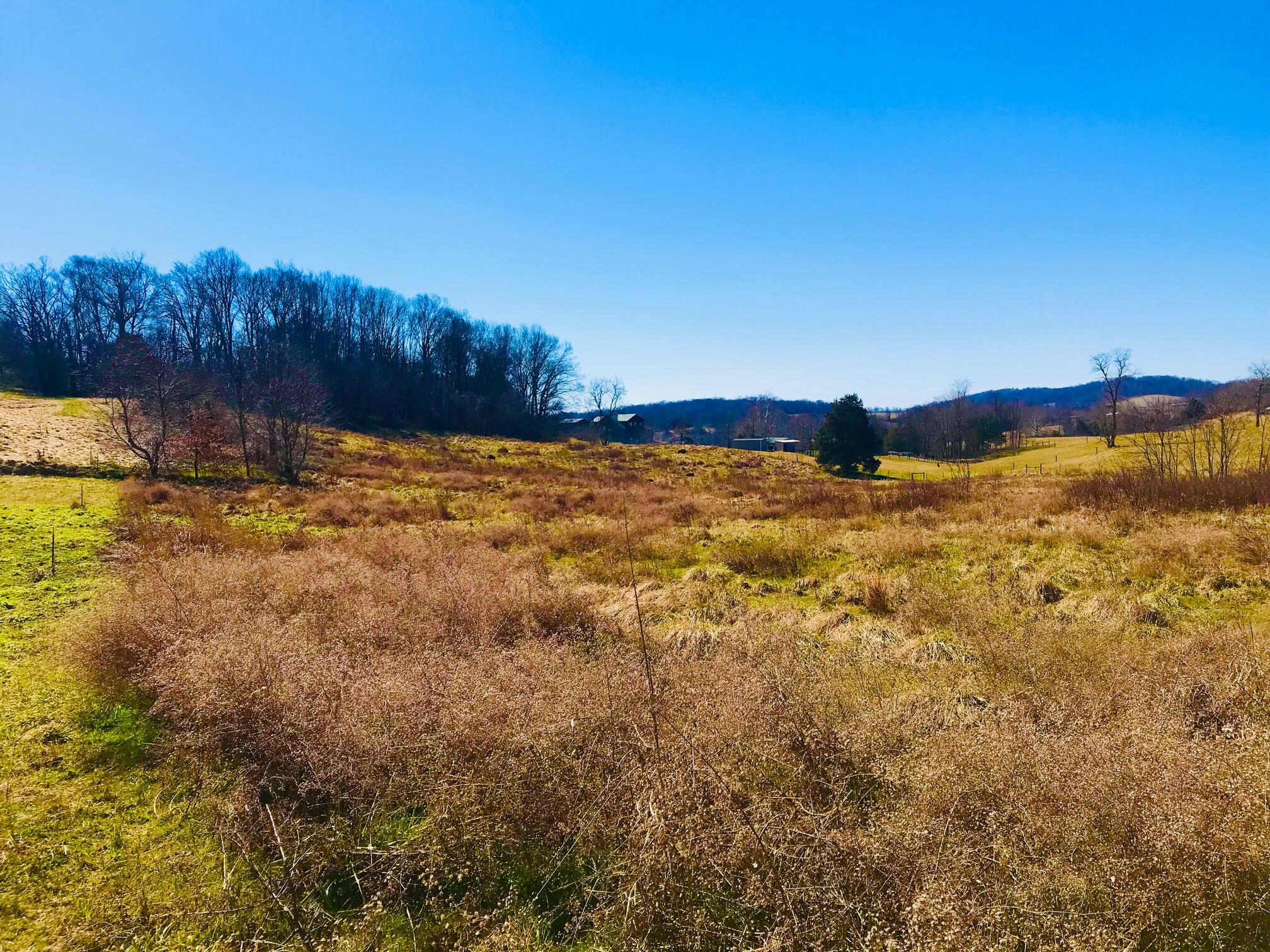 Tbd Milburnton Road, Unit 27 Limestone, TN 37681 - Photo 6 of 8 IMG_0920