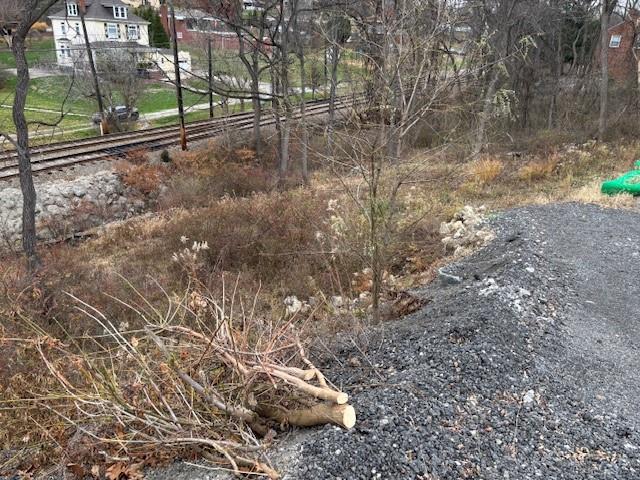0 Library Road Bethel Park, PA 15102 - Photo 5 of 16 a view of a yard with large trees