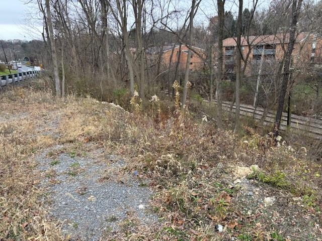 0 Library Road Bethel Park, PA 15102 - Photo 7 of 16 a view of a yard with a tree
