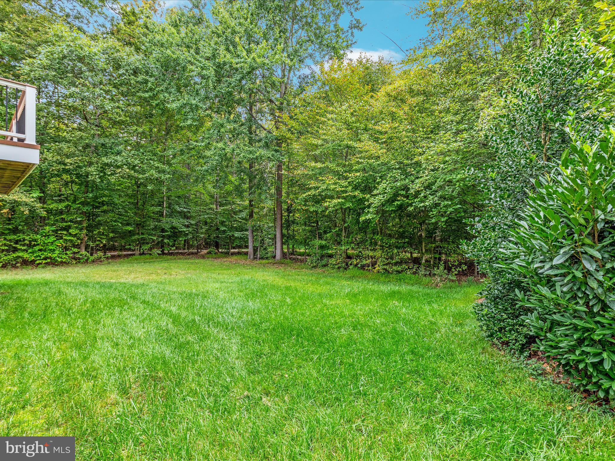 20462 Quarterpath Trace Circle Sterling, VA 20165 - Photo 51 of 58 a view of a lush green space
