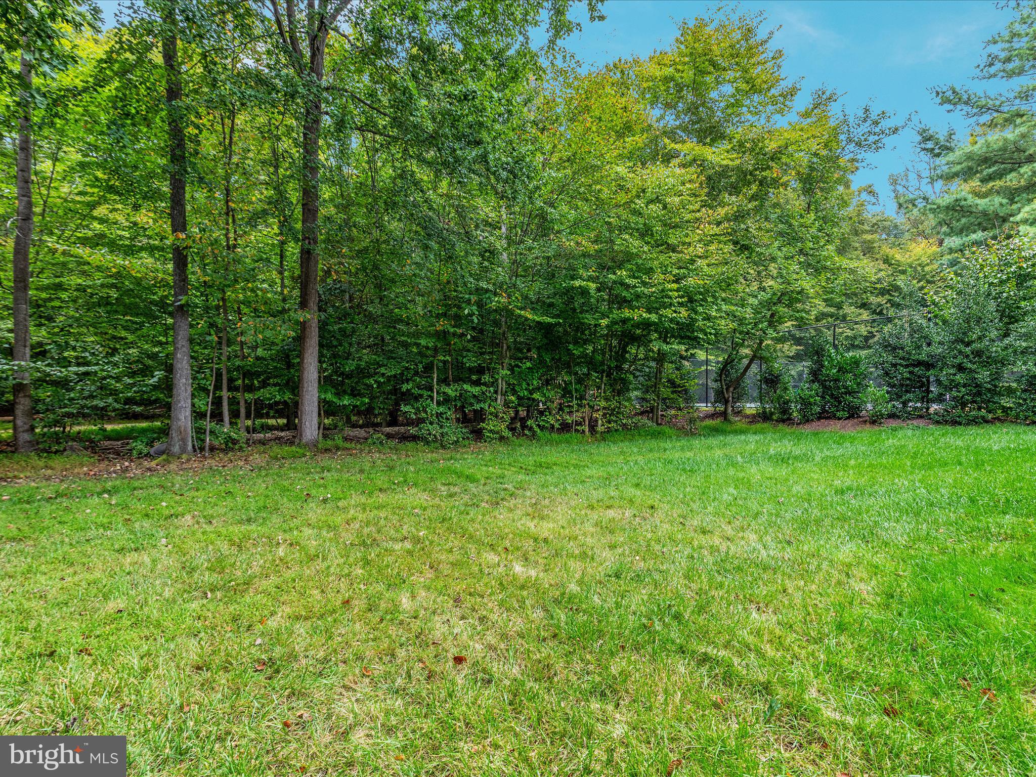 20462 Quarterpath Trace Circle Sterling, VA 20165 - Photo 52 of 58 a view of green field with trees in the background