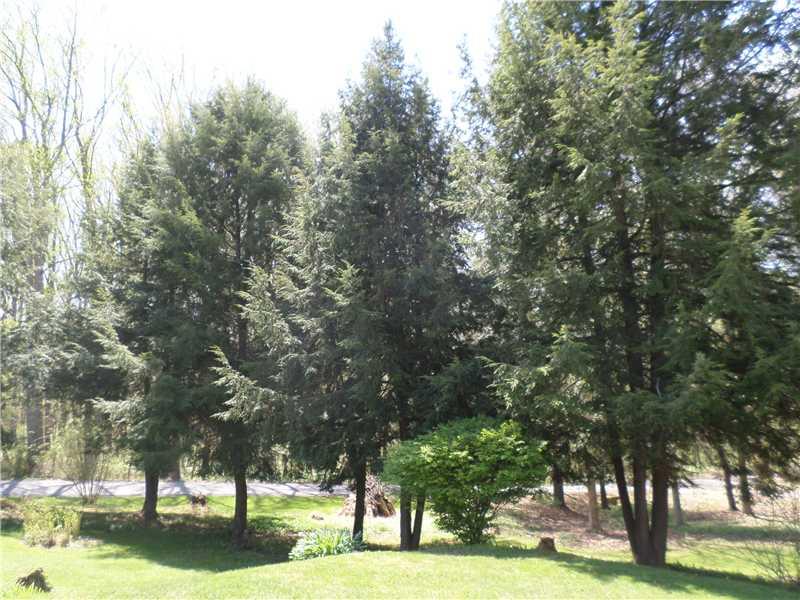 105 Allison Road Dilliner, PA 15327 - Photo 13 of 14 Land/Lot. Two extra lots in front of the house are planted with mature pine trees