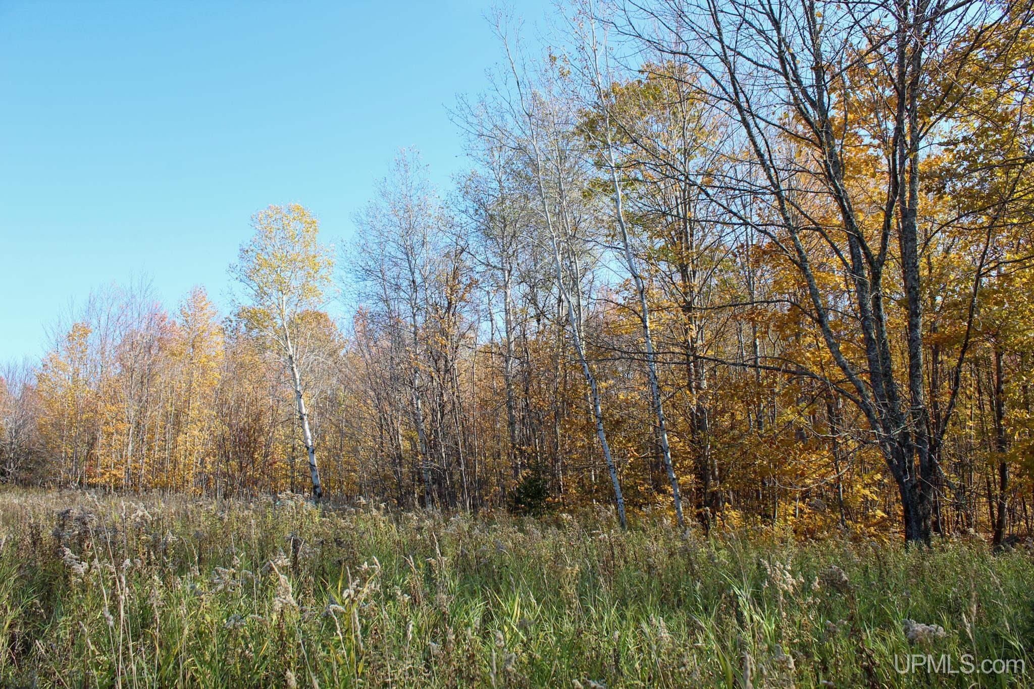 Tbd Pike River Road Chassell, MI 49916 - Photo 17 of 57 Gallery Image 17