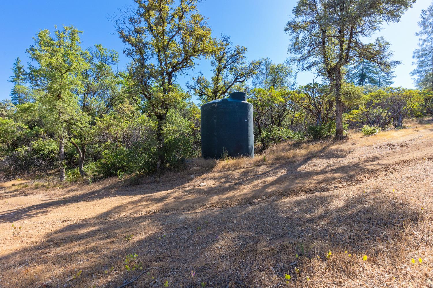 12996 Deadmans Flat Road Grass Valley, CA 95945 - Photo 9 of 12 a backyard of a house with lots of green space