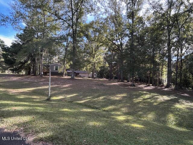 1046 Summer Oak Lane Summit, MS 39666 - Photo 25 of 35 IMG_1765 (1)