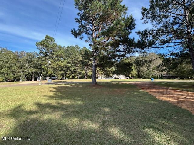 1046 Summer Oak Lane Summit, MS 39666 - Photo 7 of 35 IMG_1736