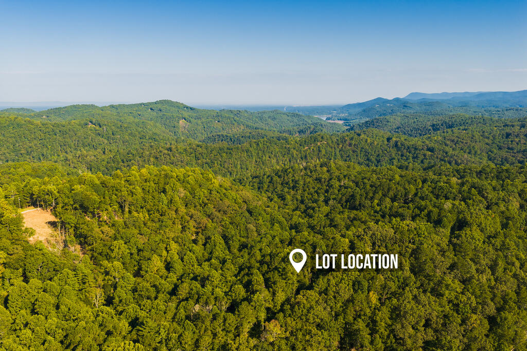 Lot 1709 Rebekah Ridge Road Talking Rock, GA 30175 - Photo 11 of 23 Gallery Image 11