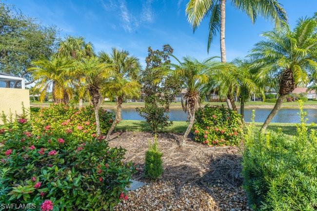 8623 Erice Court Naples, FL 34114 - Photo 32 of 37 a backyard of a house with lots of green space and fountain