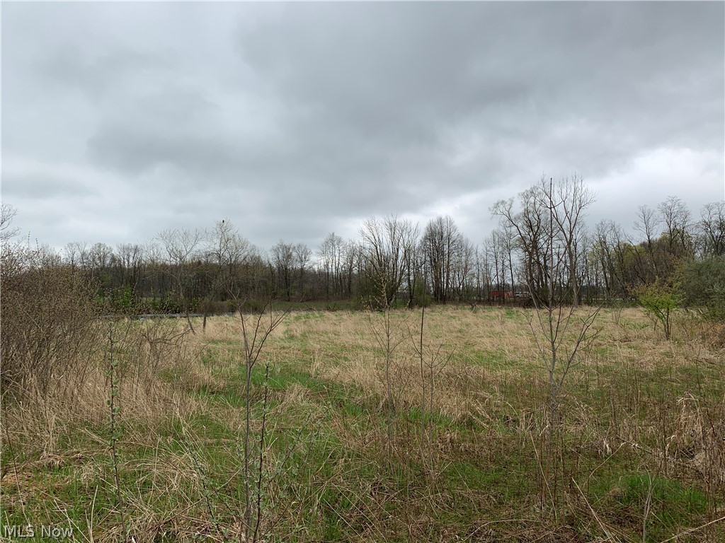 8799 Guilford Road Seville, OH 44273 - Photo 29 of 35 Gallery Image 29