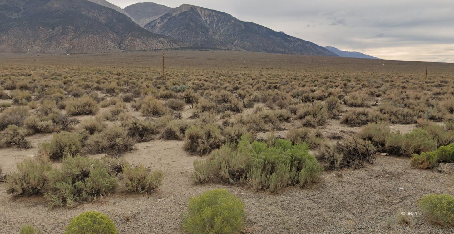 a view of a field