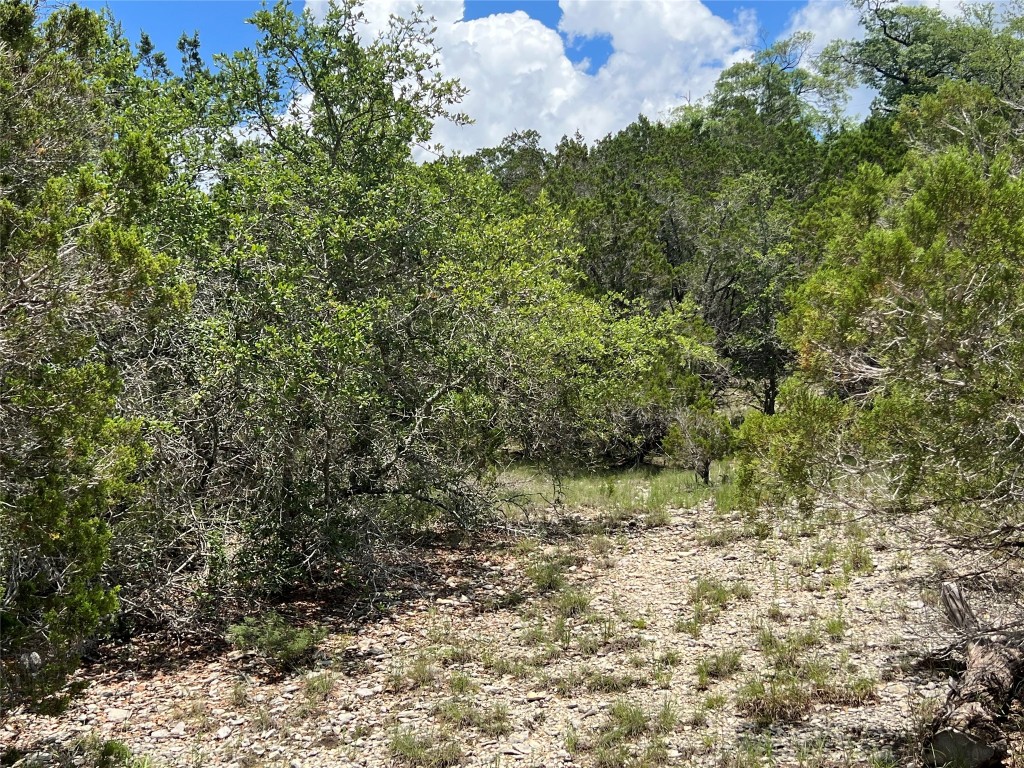 14 & 15 Dr Spring Branch Spring Branch, TX 78070 - Photo 1 of 1 a view of a yard