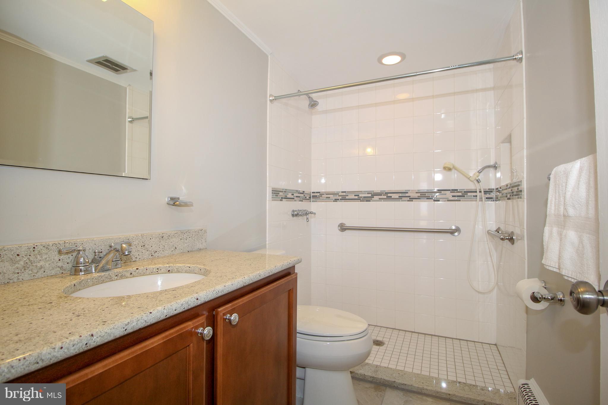 1729 Horner Road Woodbridge, VA 22191 - Photo 17 of 27 Fully renovated lower level bathroom.