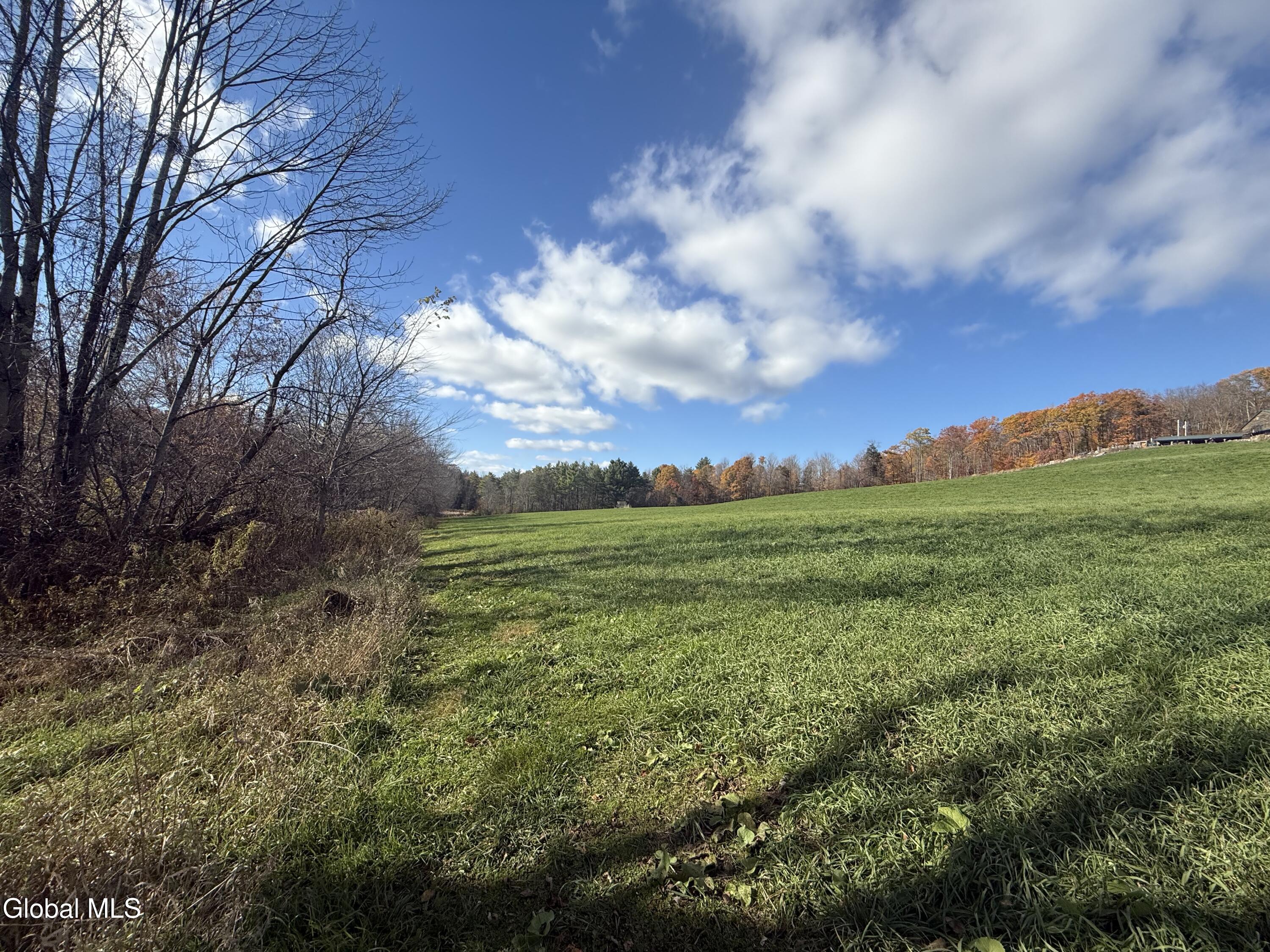 1585 Carlton Road Whitehall, NY 12887 - Photo 11 of 21 IMG_2919