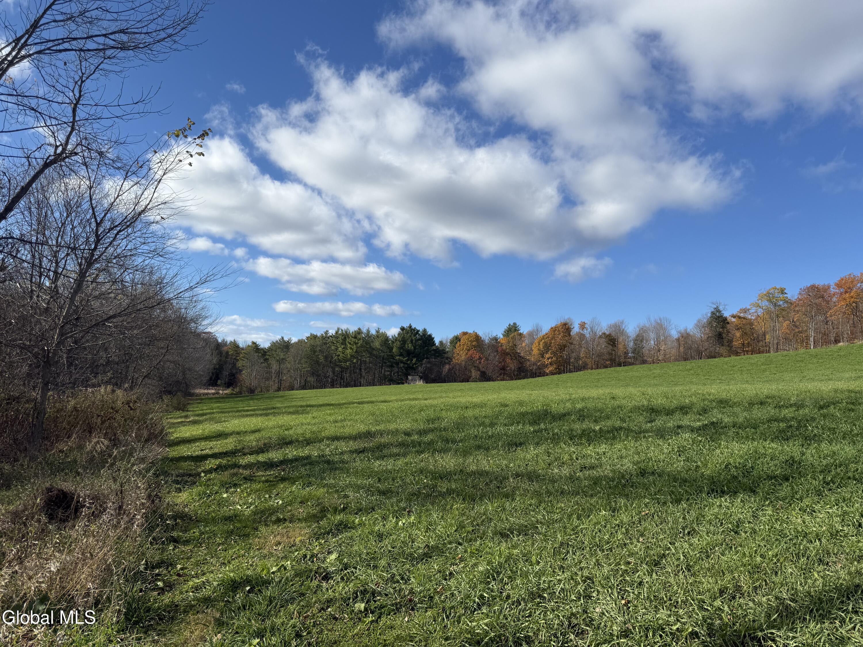 1585 Carlton Road Whitehall, NY 12887 - Photo 12 of 21 IMG_2918