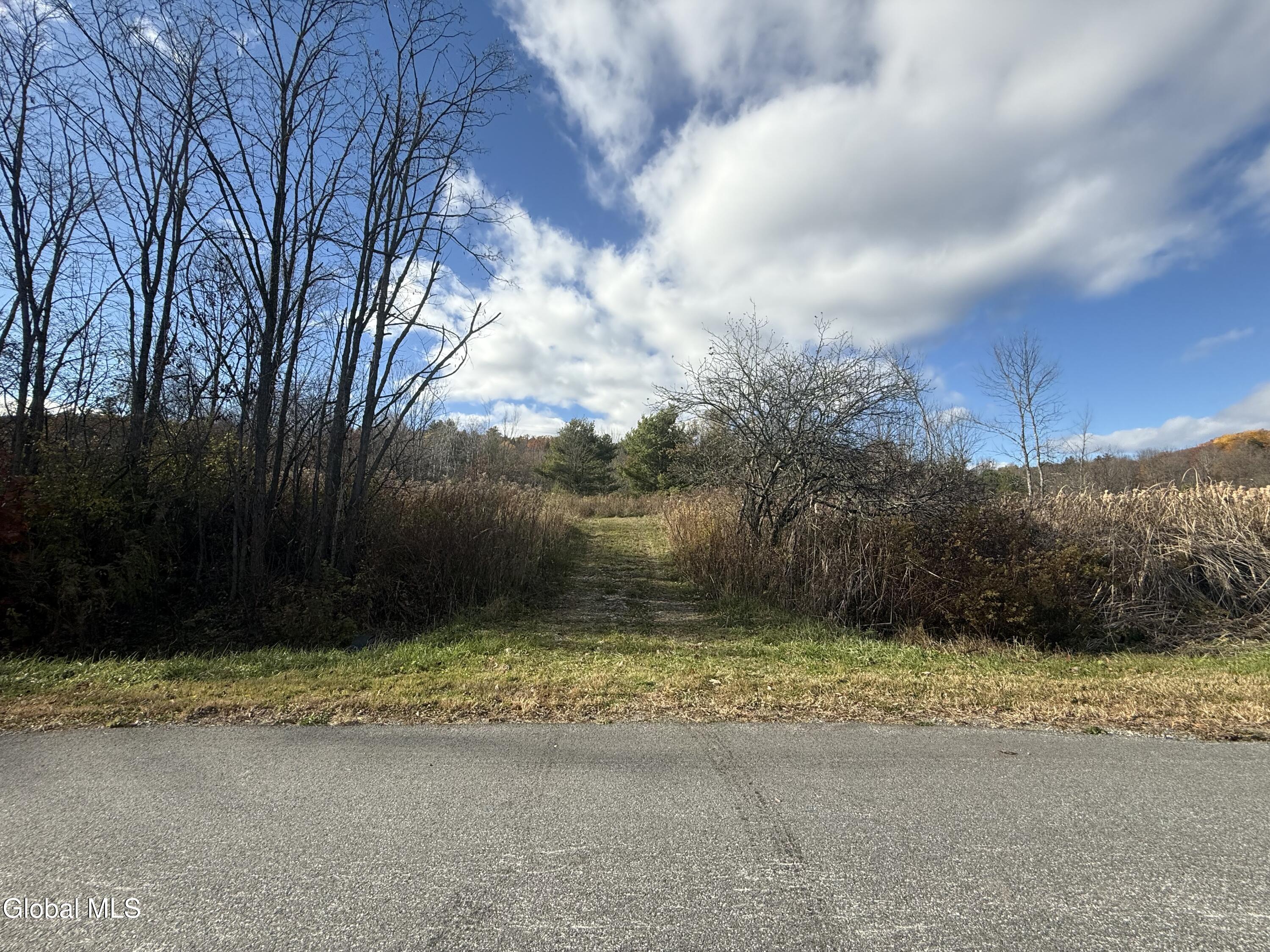 1585 Carlton Road Whitehall, NY 12887 - Photo 13 of 21 IMG_2917