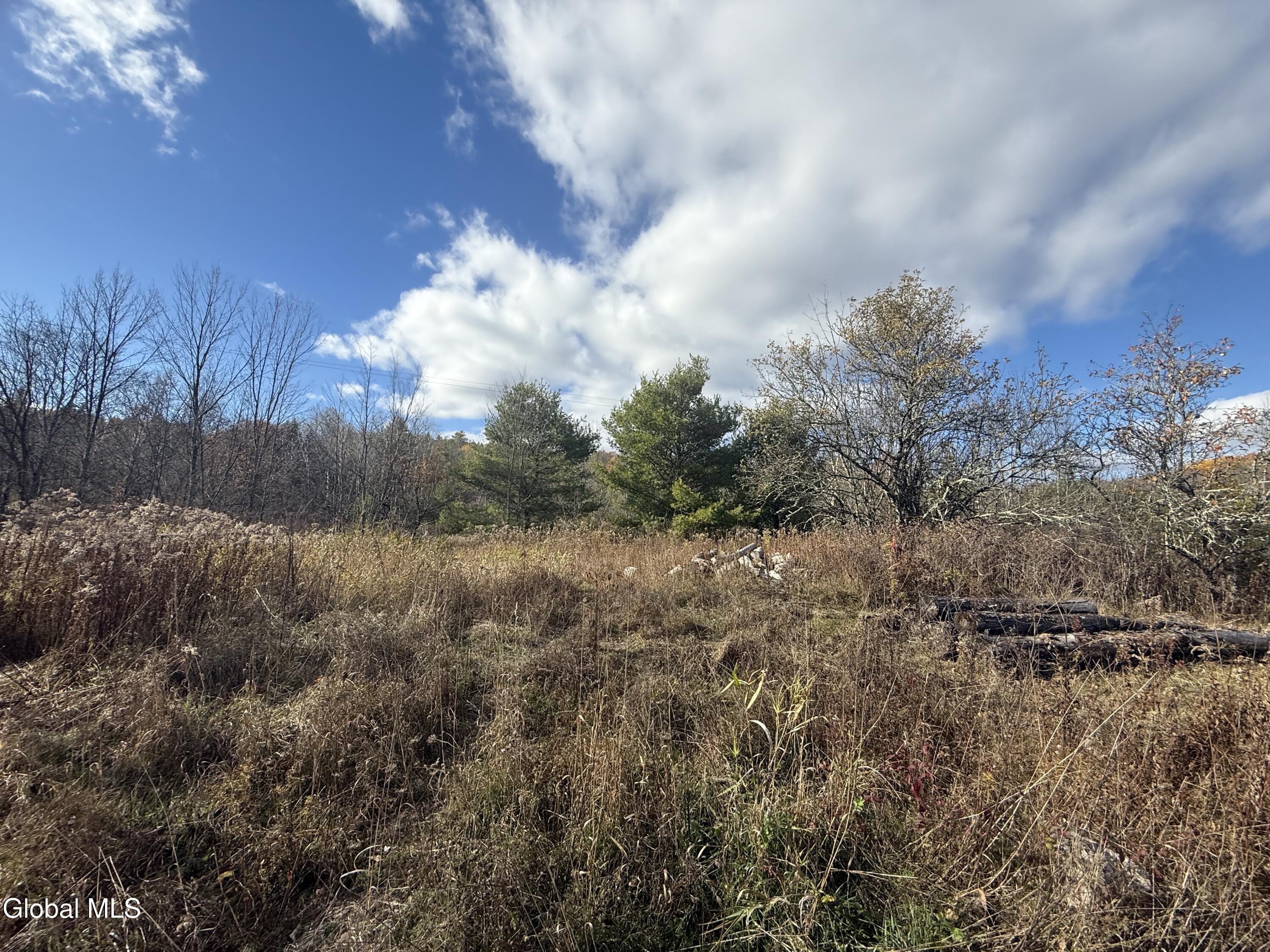 1585 Carlton Road Whitehall, NY 12887 - Photo 14 of 21 IMG_2916