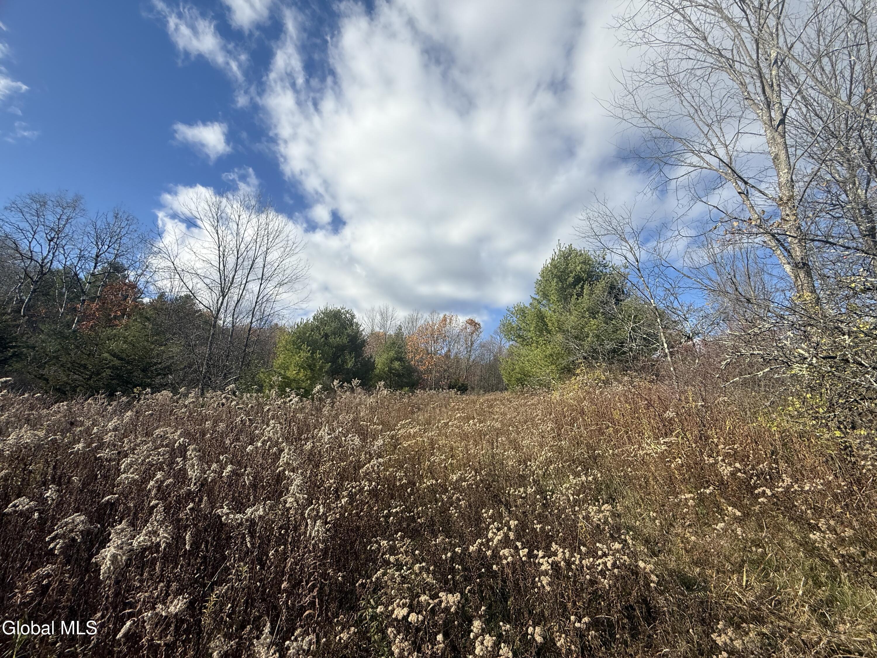 1585 Carlton Road Whitehall, NY 12887 - Photo 15 of 21 IMG_2915