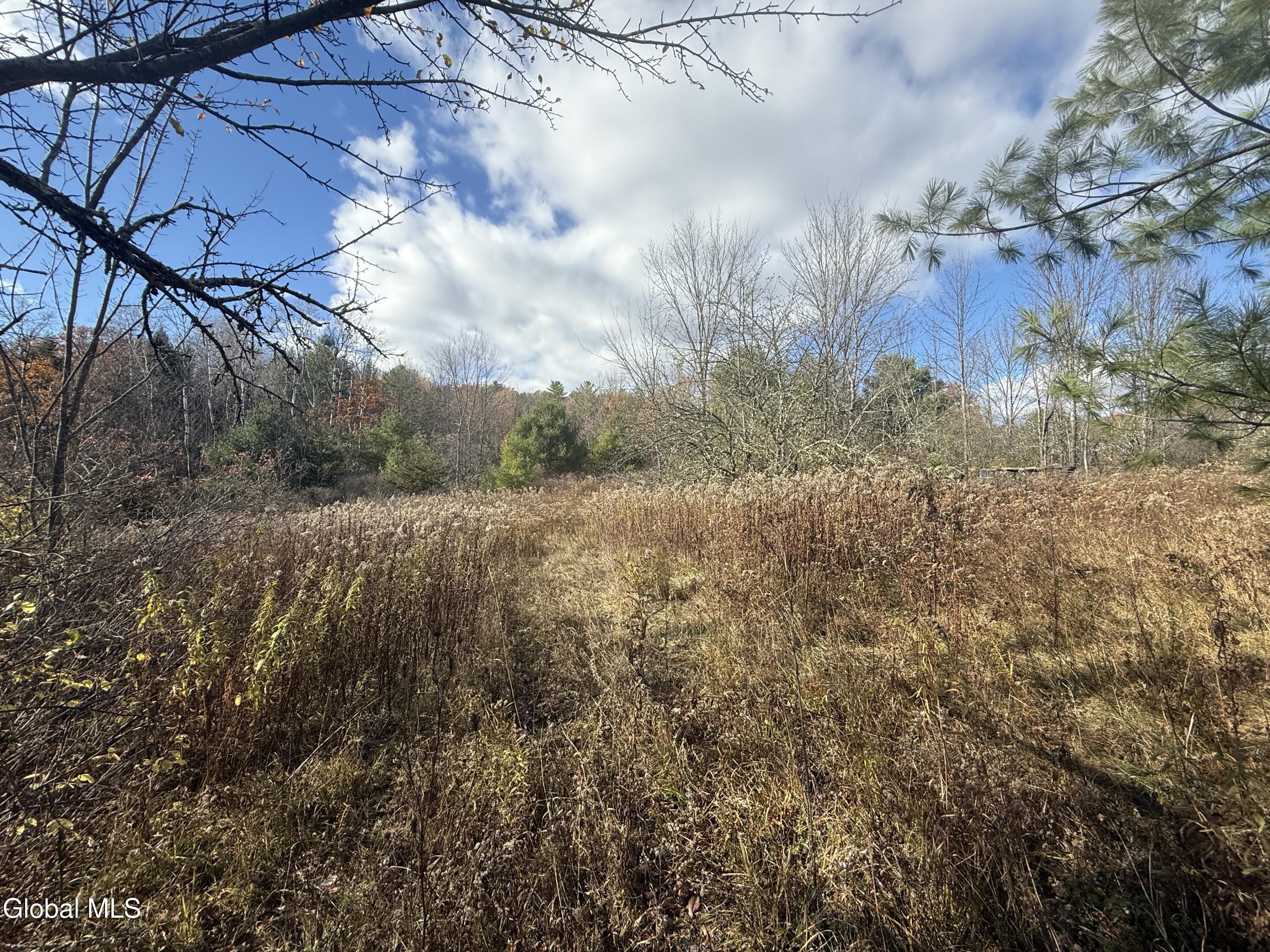 1585 Carlton Road Whitehall, NY 12887 - Photo 18 of 21 IMG_2913