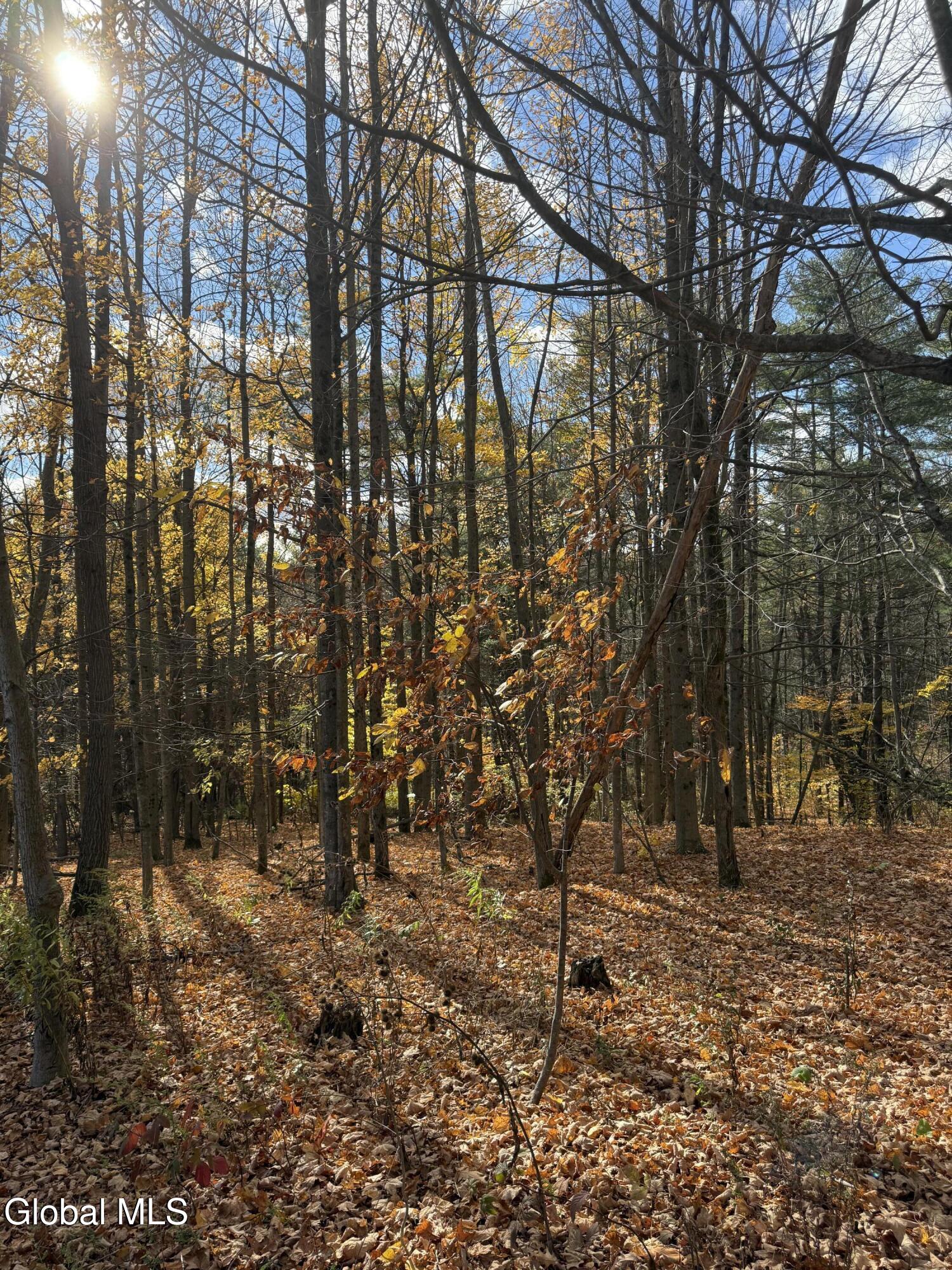 1585 Carlton Road Whitehall, NY 12887 - Photo 20 of 21 IMG_2911