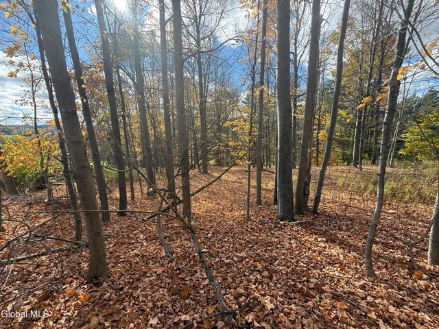 $85,000 | 1585 Carlton Road, Whitehall, NY 12887