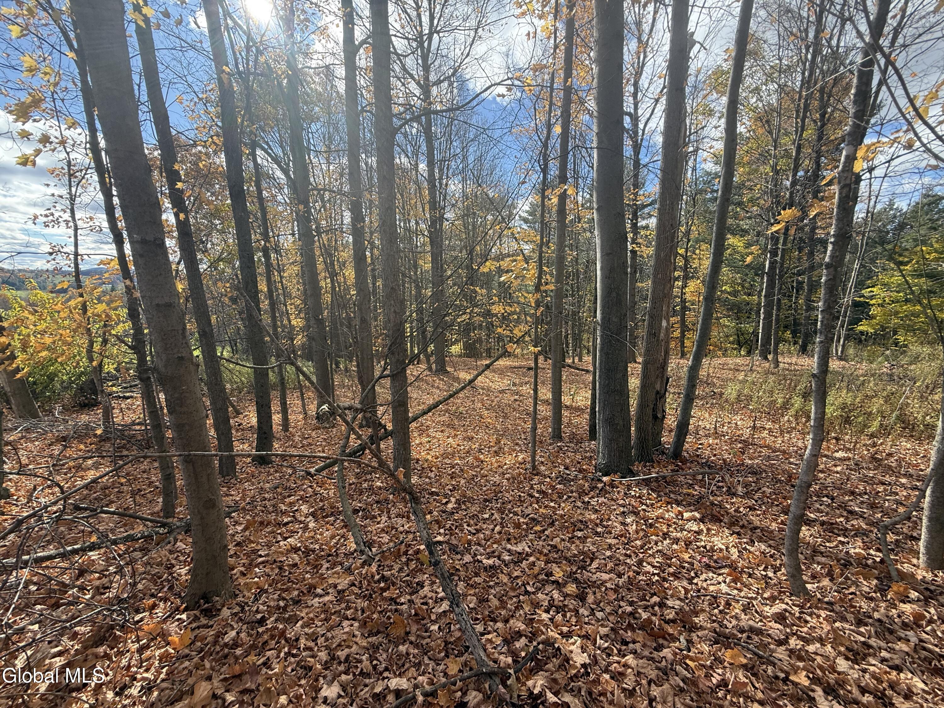 1585 Carlton Road Whitehall, NY 12887 - Photo 21 of 21 IMG_2906