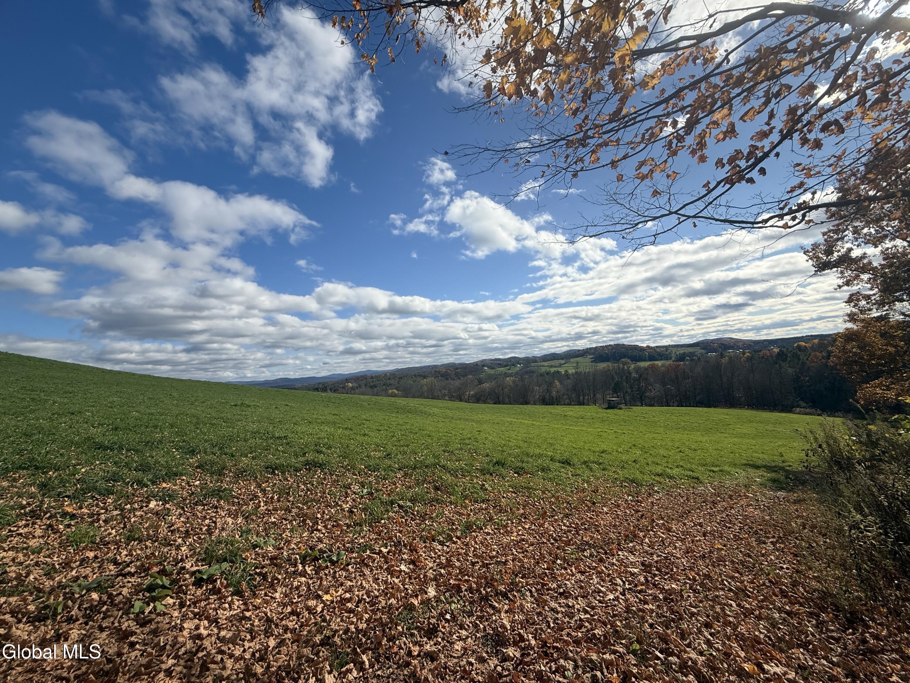 1585 Carlton Road Whitehall, NY 12887 - Photo 3 of 21 IMG_2908