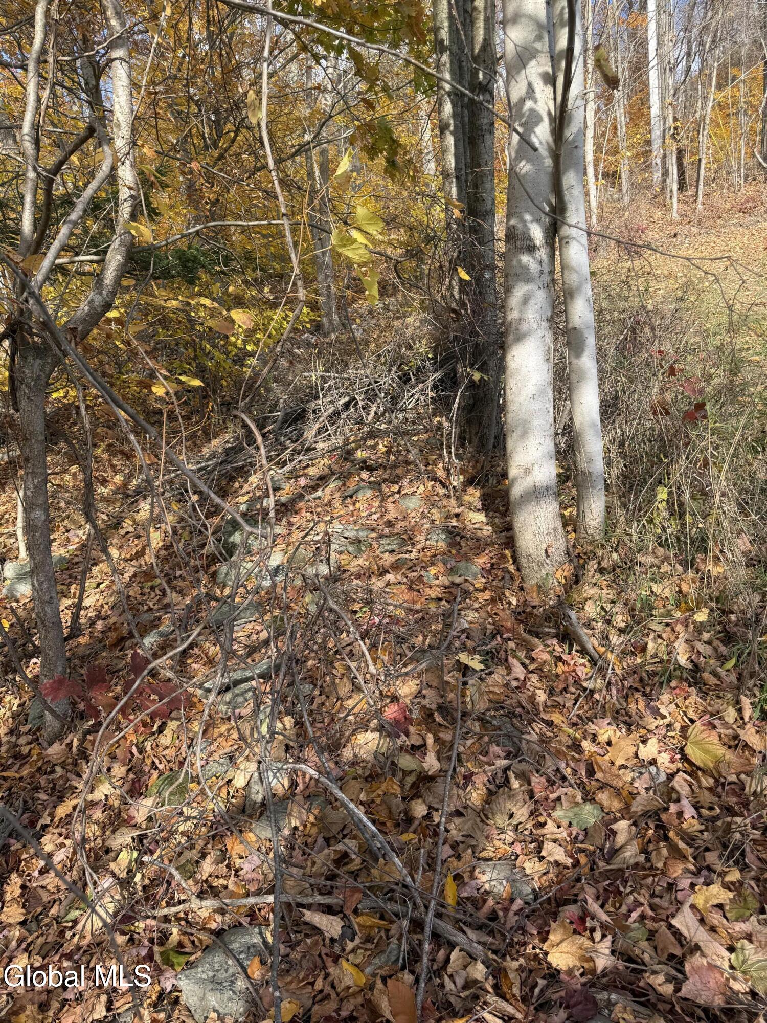 1585 Carlton Road Whitehall, NY 12887 - Photo 4 of 21 IMG_2905