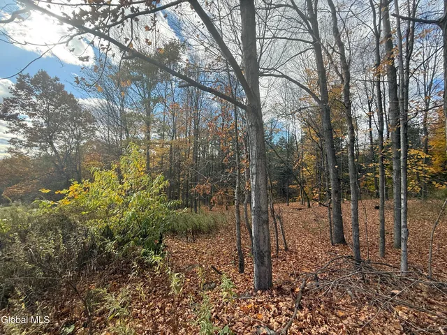 $85,000 | 1585 Carlton Road, Whitehall, NY 12887