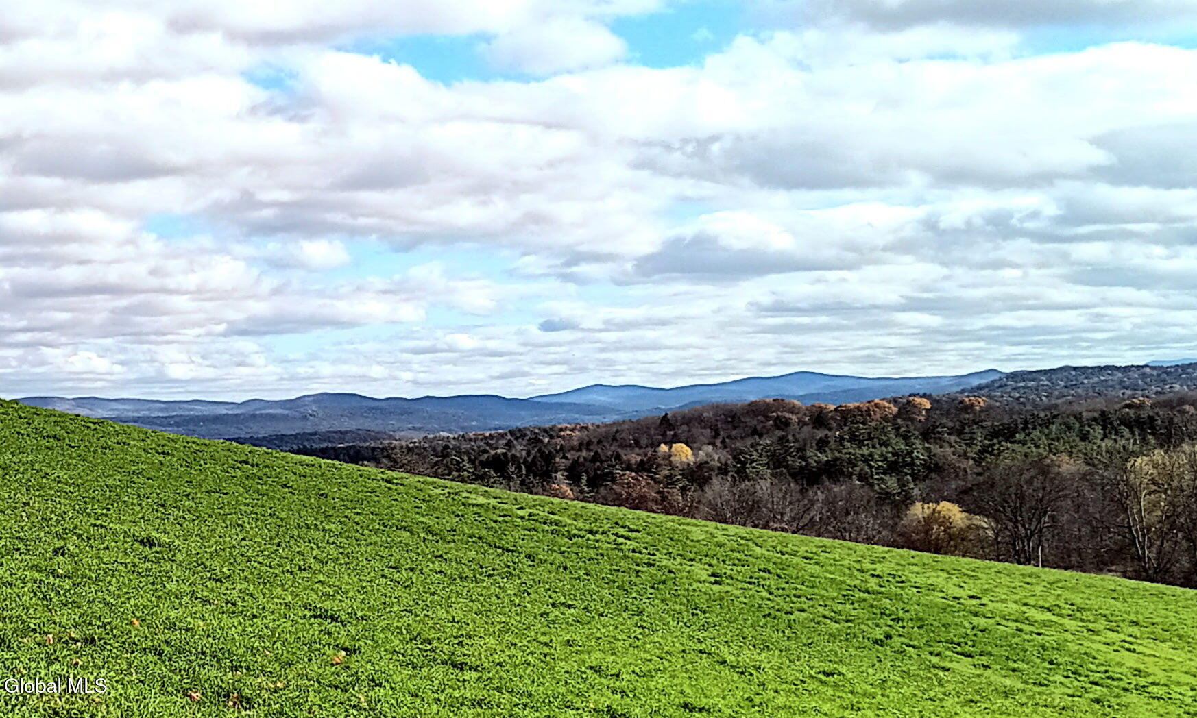 1585 Carlton Road Whitehall, NY 12887 - Photo 8 of 21 3715220124100544332