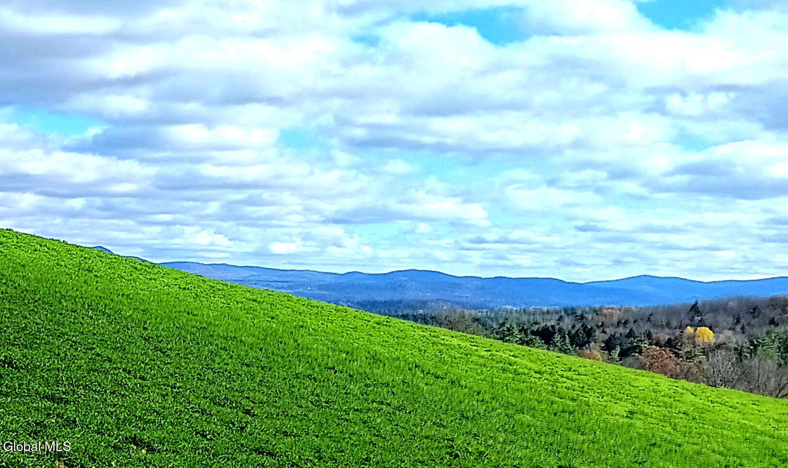 1585 Carlton Road Whitehall, NY 12887 - Photo 9 of 21 8480718608716090159