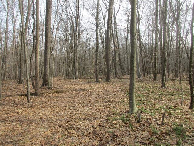 0 Blue Gate Lane Kennerdell, PA 16374 - Photo 1 of 1 a view of a backyard