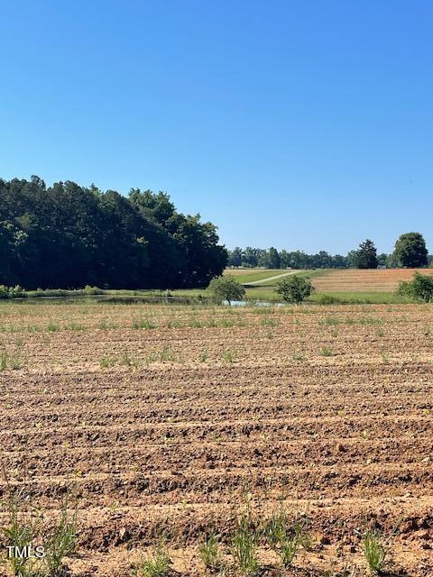 1411 Polk Huff Road Roxboro, NC 27574 - Photo 16 of 20 IMG_1978