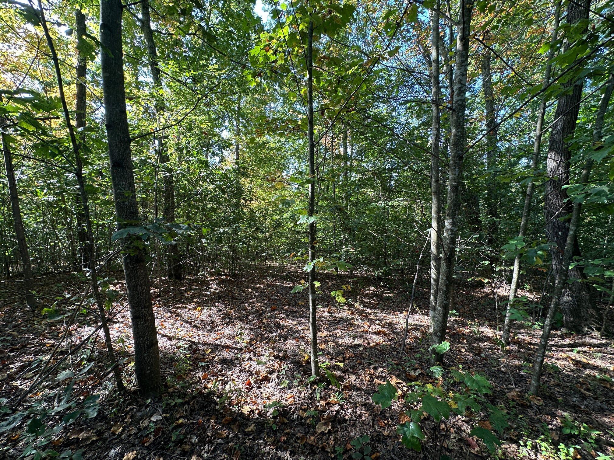 1335 Greenbrier Road Wallingford, KY 41093 - Photo 24 of 50 Gallery Image 24