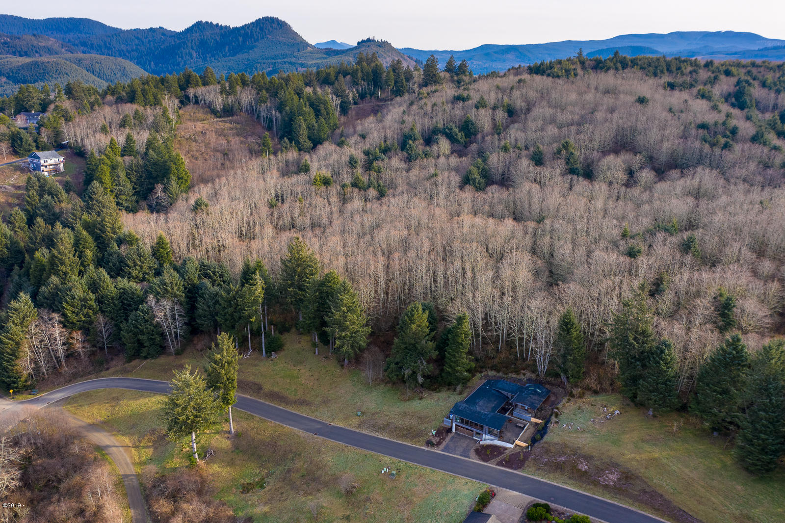 Lot 9 Brooten Mountain Road Pacific City, OR 97135 - Photo 7 of 10 Aerial 6