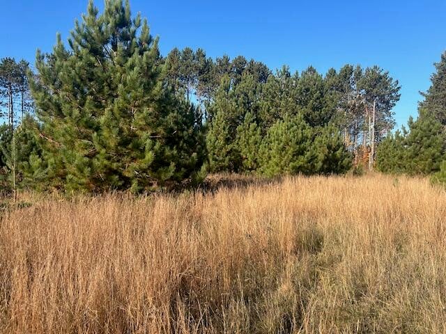 Sherman Road Frederic, MI 49733 - Photo 3 of 8 Gallery Image 3