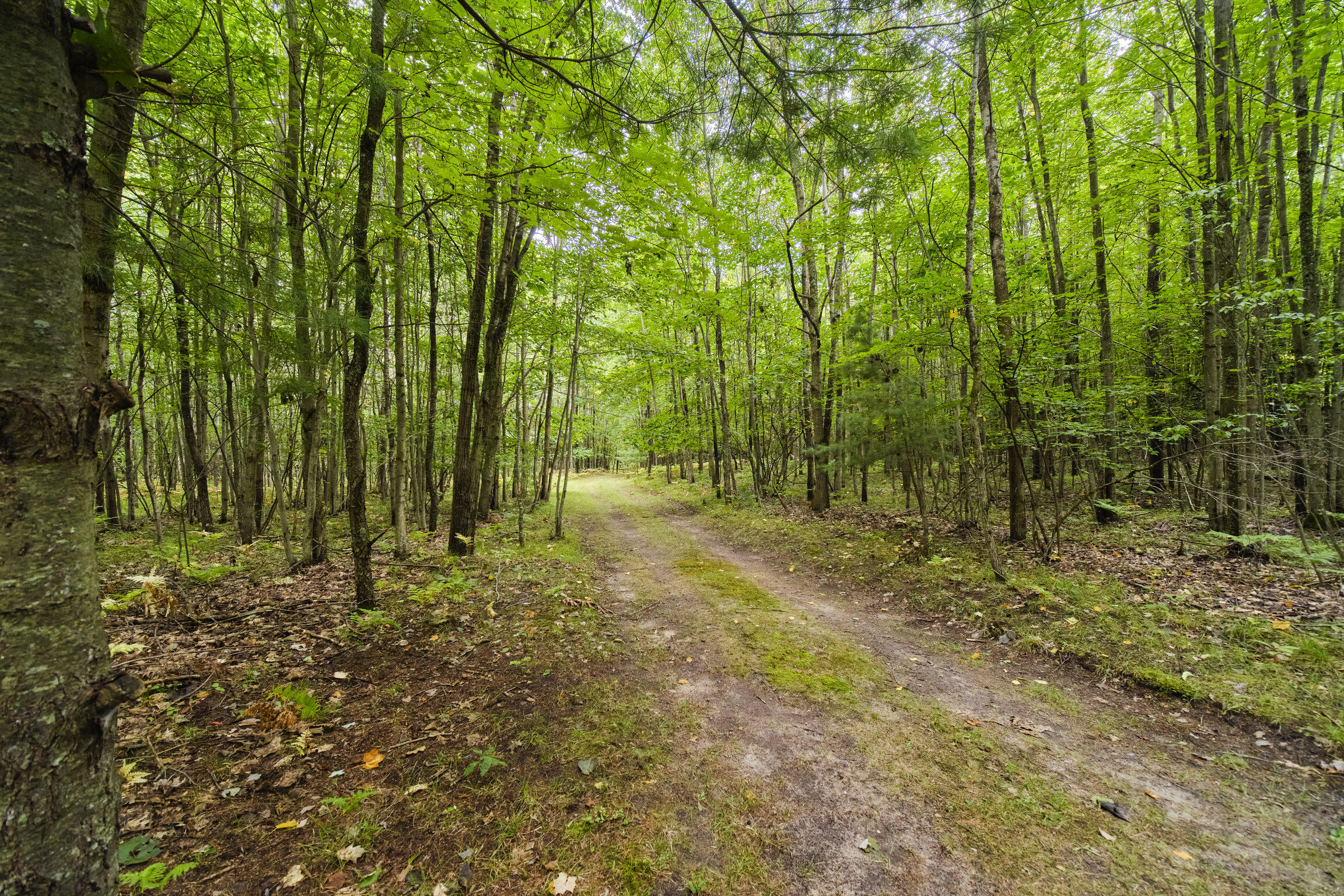 8089 Hunter Ridge Trail Copemish, MI 49625 - Photo 41 of 61 8089 Hunter's Ridge