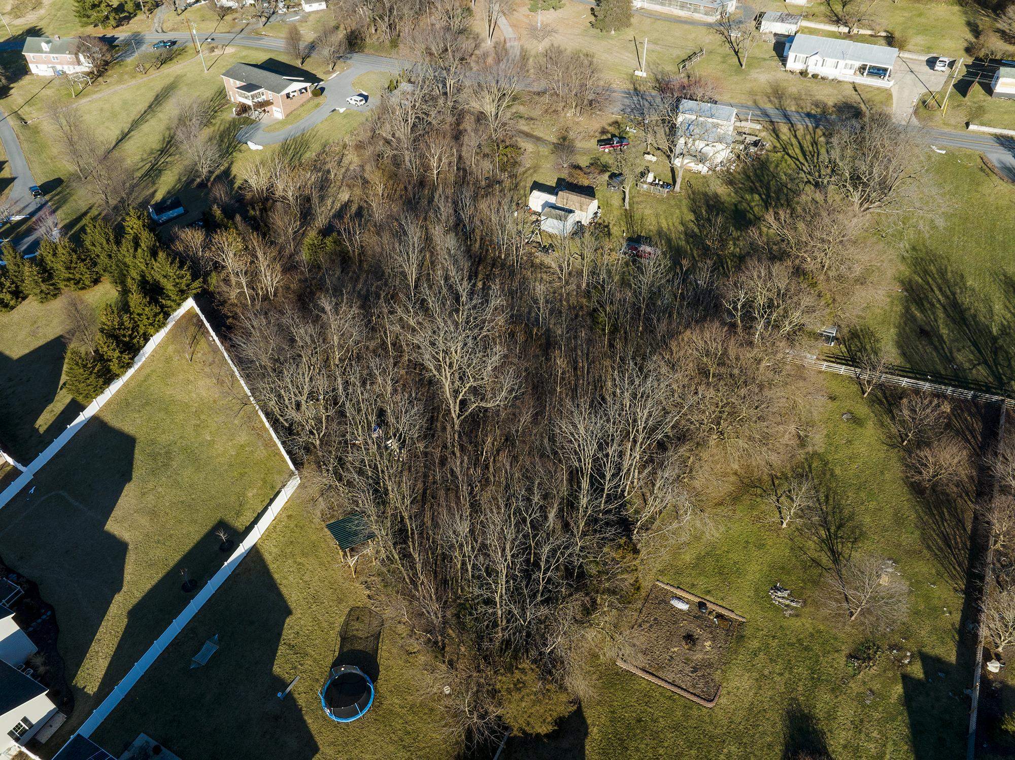 399 Weavers Road Harrisonburg, VA 22802 - Photo 7 of 17 Gallery Image 7