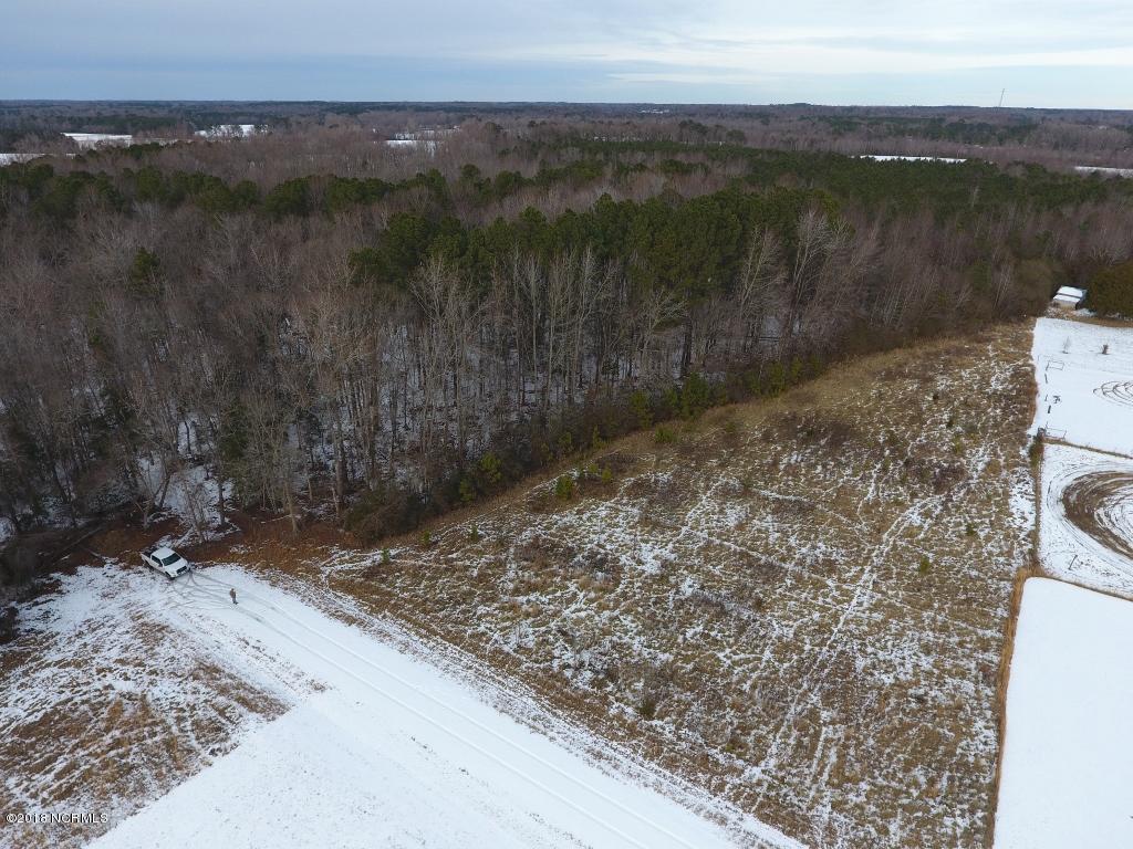 26.89 Bynum Farm Road Pinetops, NC 27864 - Photo 13 of 43 13 (1024x768)