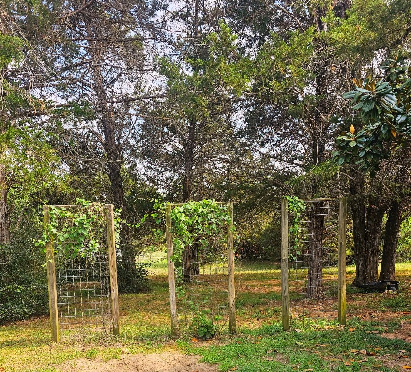 417 Hidden Oaks Drive Elgin, TX 78621 - Photo 19 of 26 a view of a backyard