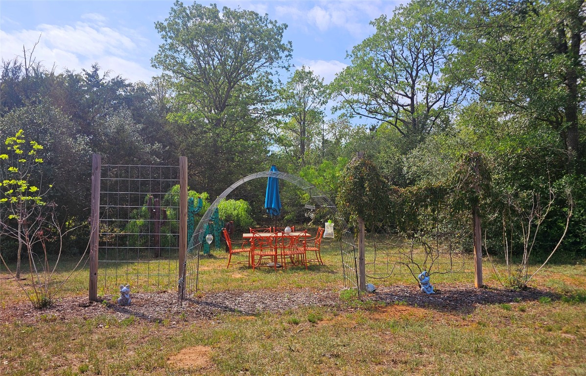 417 Hidden Oaks Drive Elgin, TX 78621 - Photo 21 of 26 a backyard of a house with barbeque oven table and chairs