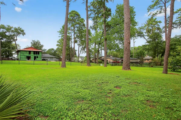 a view of a park with large trees