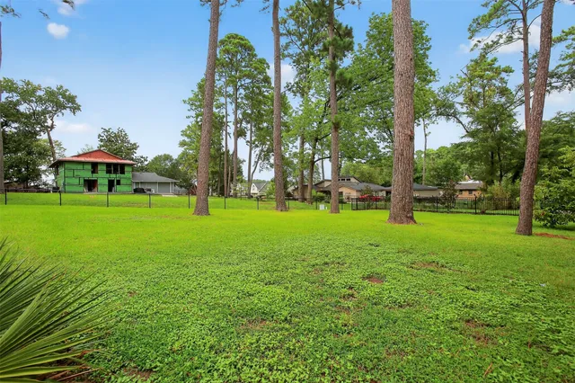 a view of a park with large trees