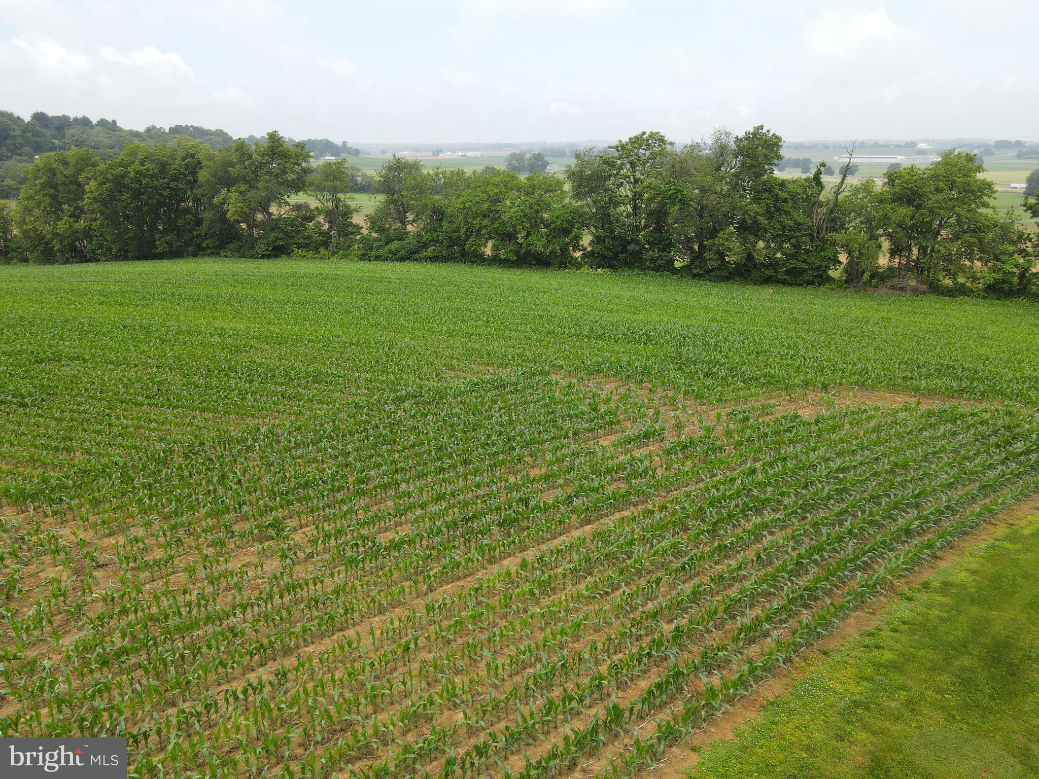 180 Range Road Mount Joy, PA 17552 - Photo 36 of 75 a view of grassy field with trees