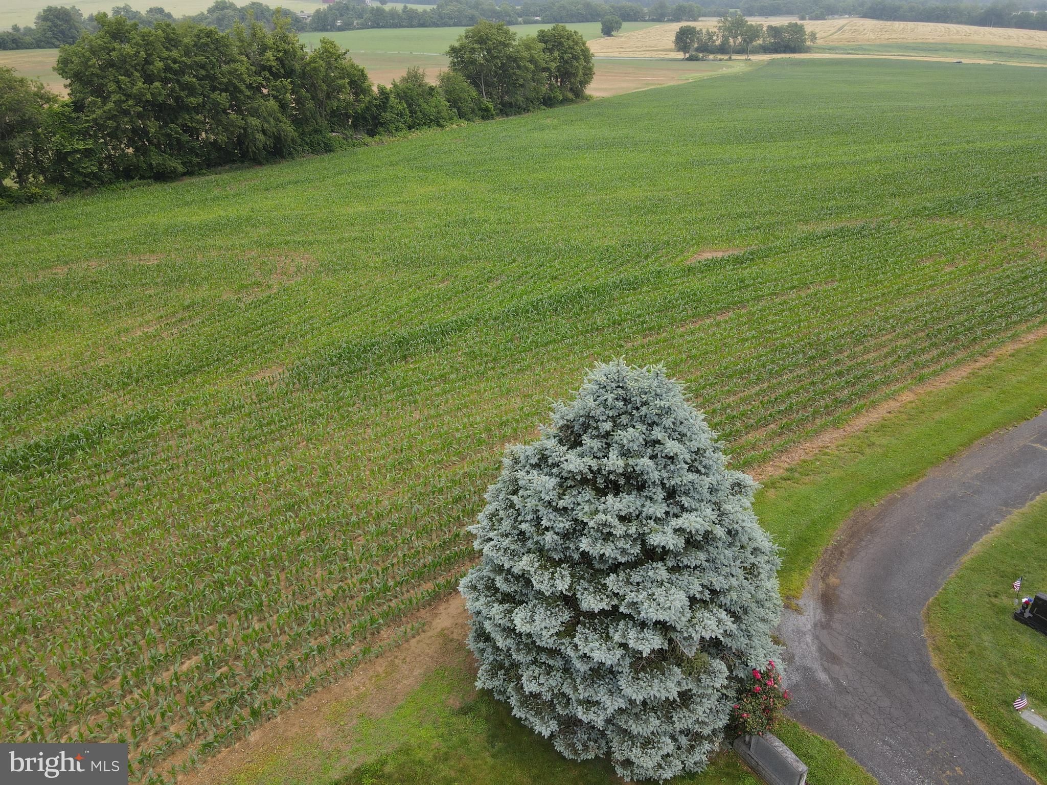 180 Range Road Mount Joy, PA 17552 - Photo 38 of 75 a view of a garden with an ocean view