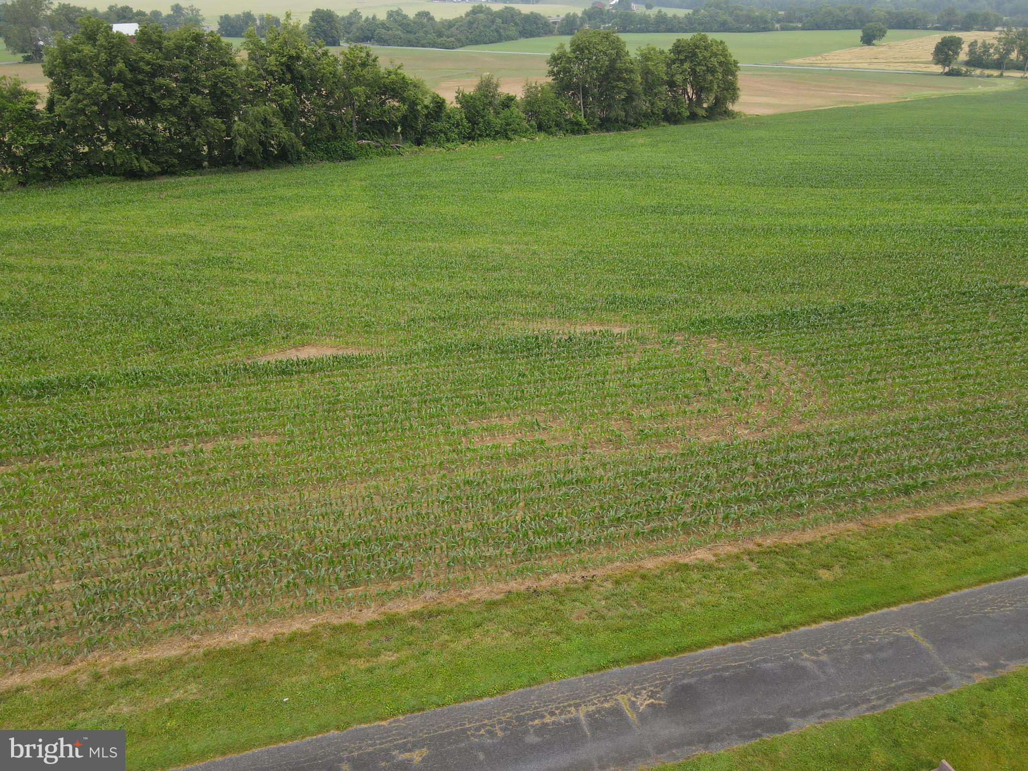 180 Range Road Mount Joy, PA 17552 - Photo 40 of 75 a view of a field with an ocean view