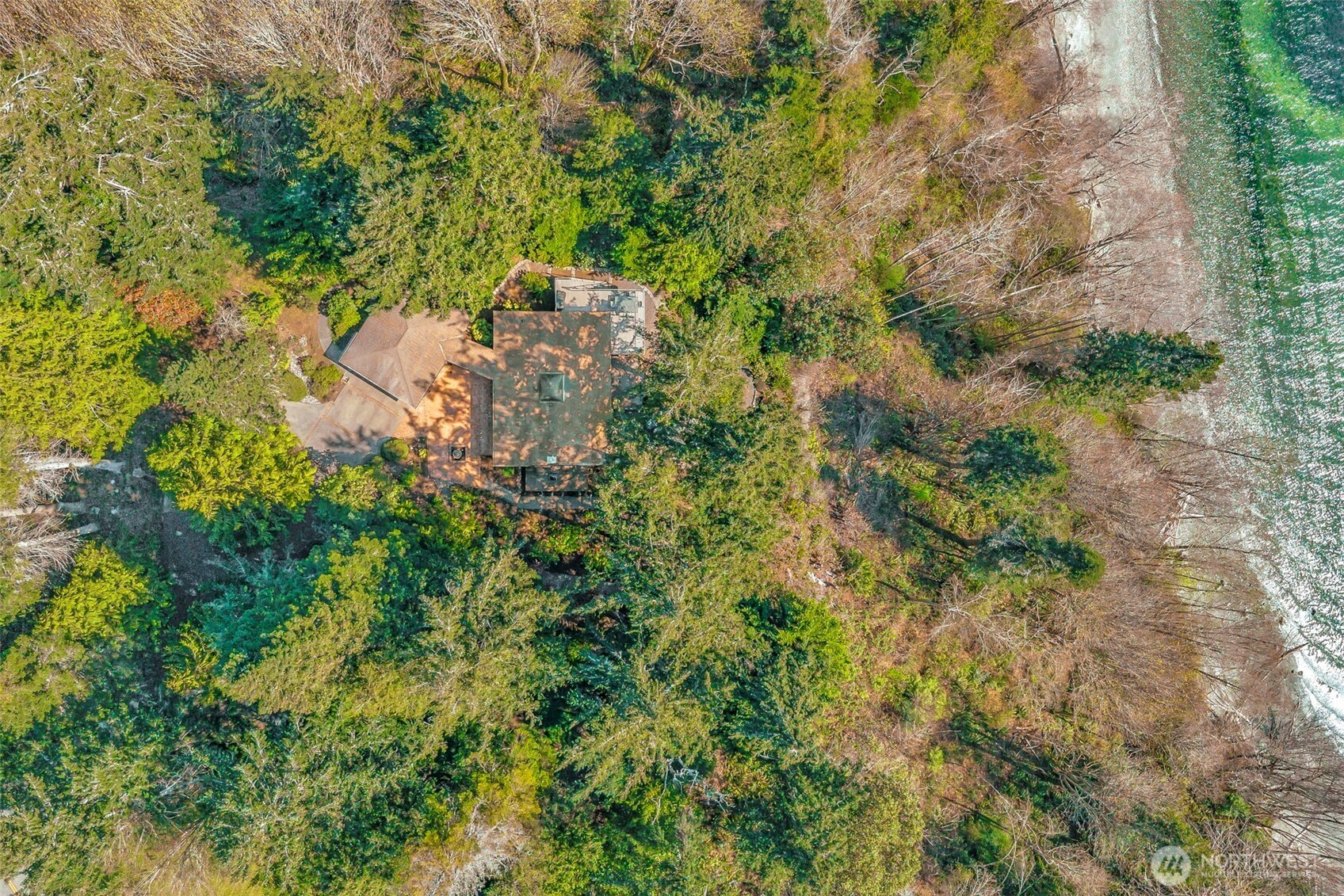 1571 Thorndyke Road Port Ludlow, WA 98365 - Photo 40 of 40 a view of a forest