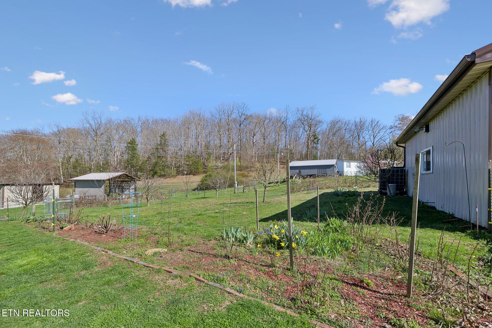 704 Pea Ridge Road Sunbright, TN 37872 - Photo 28 of 54 34-704 Pea Ridge Rd - 032