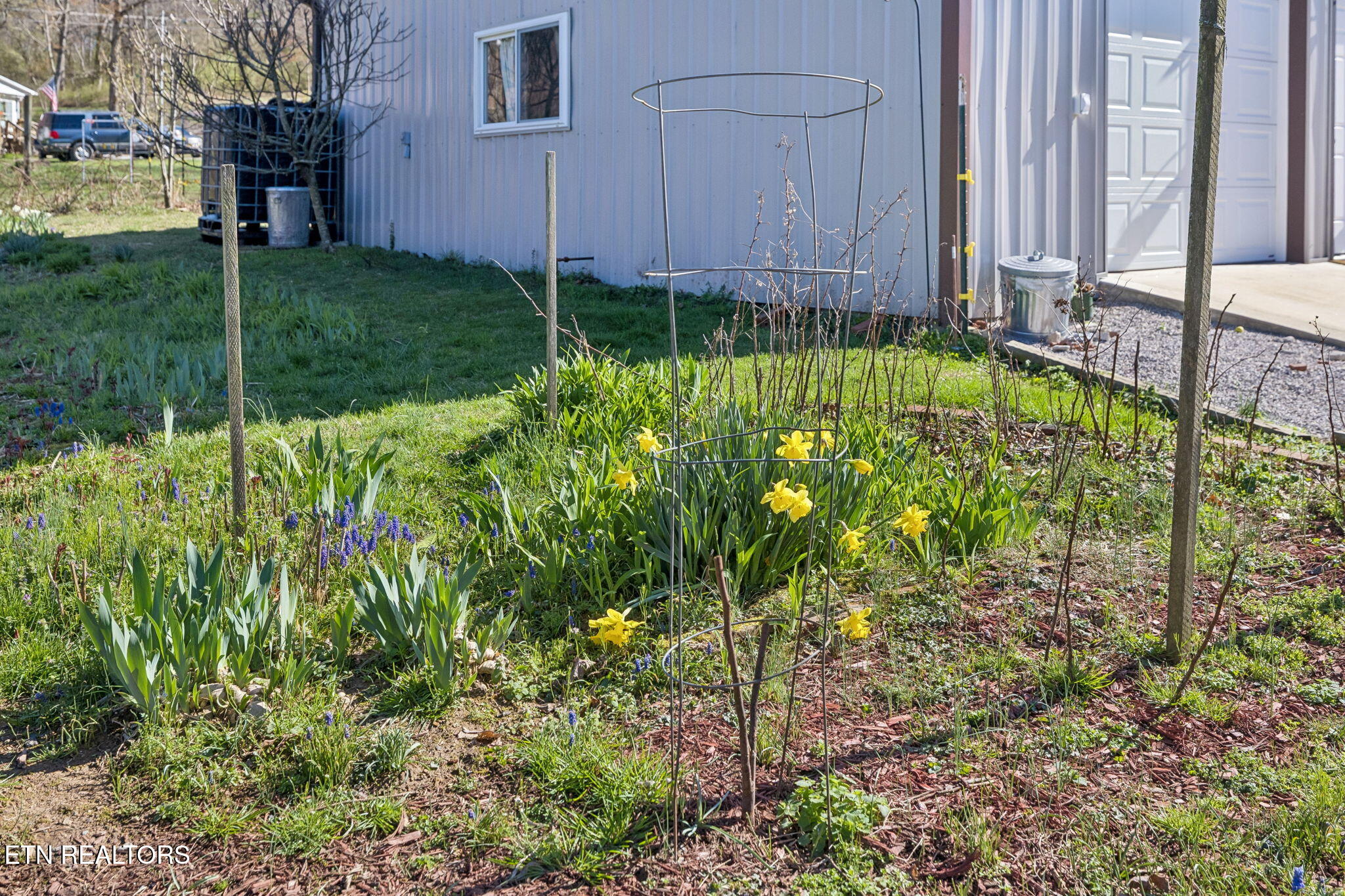 704 Pea Ridge Road Sunbright, TN 37872 - Photo 29 of 54 35-704 Pea Ridge Rd - 033