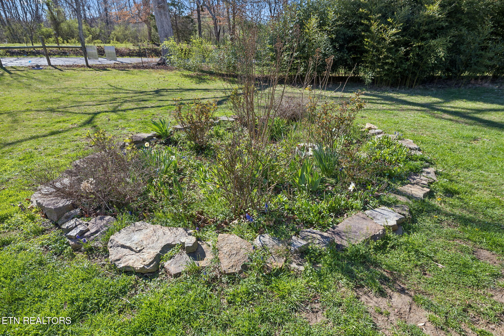 704 Pea Ridge Road Sunbright, TN 37872 - Photo 30 of 54 36-704 Pea Ridge Rd - 036