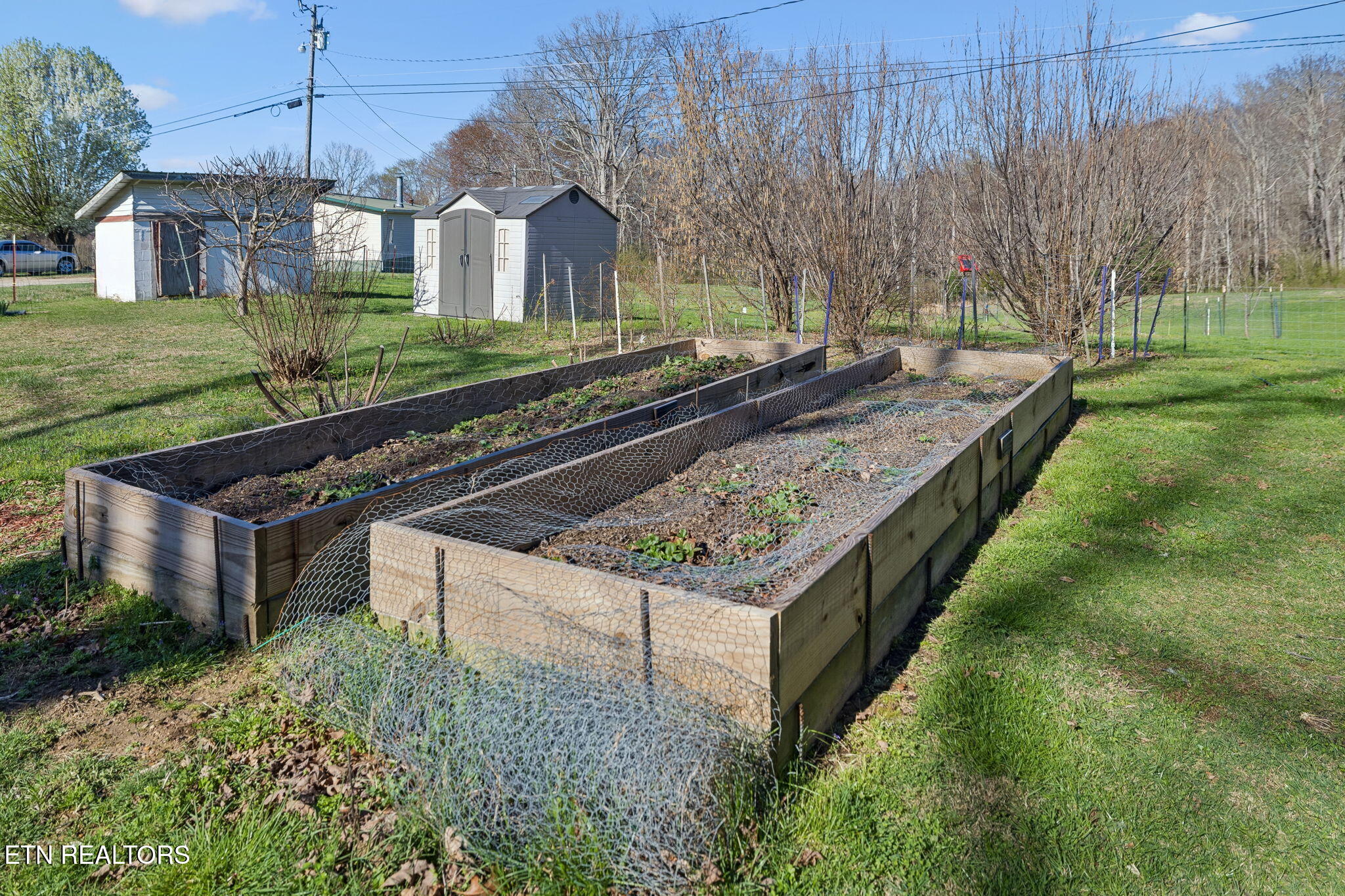 704 Pea Ridge Road Sunbright, TN 37872 - Photo 31 of 54 37-704 Pea Ridge Rd - 037